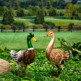 메탈 오리 장식 2PK