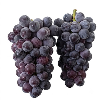 거봉포도 2kg 거봉포도 2kg