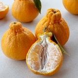 제주 한라봉 선물세트 3kg (6~9입)