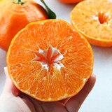 제주 레드향 선물세트 3kg 6~9입