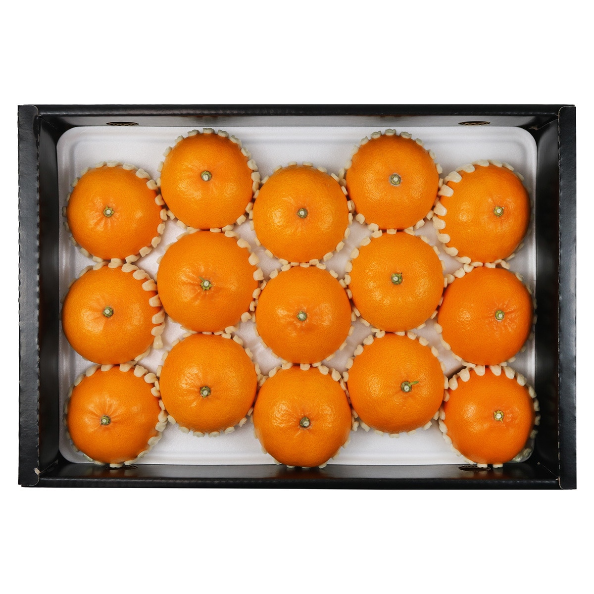 제주 천혜향선물세트 5kg(15~24입)