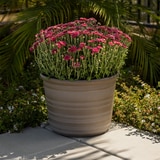 포럼 레진 화분 3개 포럼 레진 화분 3개