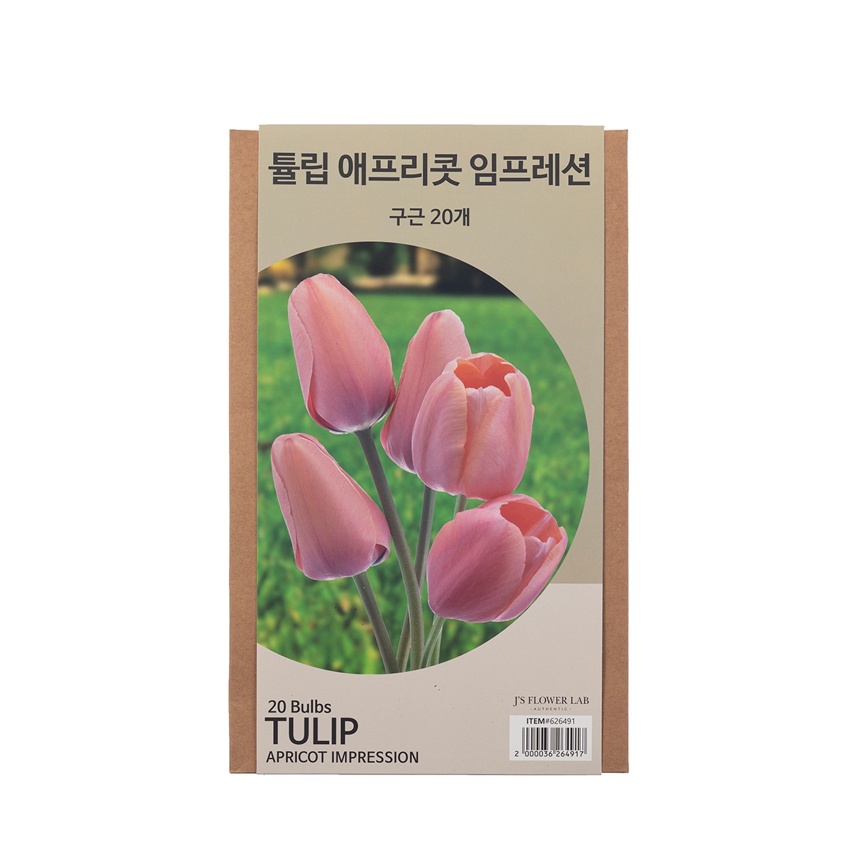 튤립 구근 / 최소구매 2 - 애프리콧 임프레션