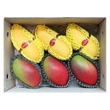 애플 & 태국망고 선물세트 2.8kg 애플 & 태국망고 선물세트 2.8kg