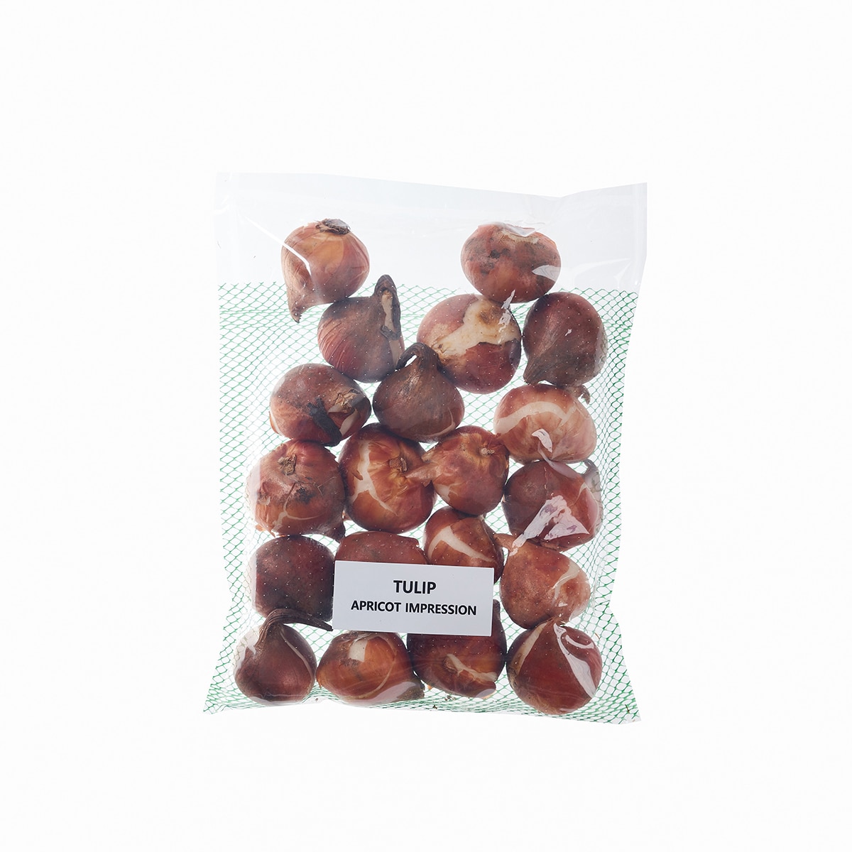 튤립 구근 / 최소구매 2 - 애프리콧 임프레션