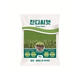 KG 톨훼스큐 잔디 씨앗 3kg