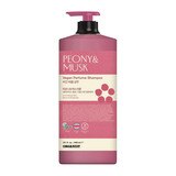 오가니스트 퍼퓸 샴푸1100ml x 2