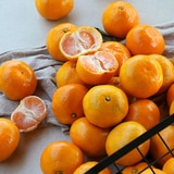 귤림원 감귤세트 5kg