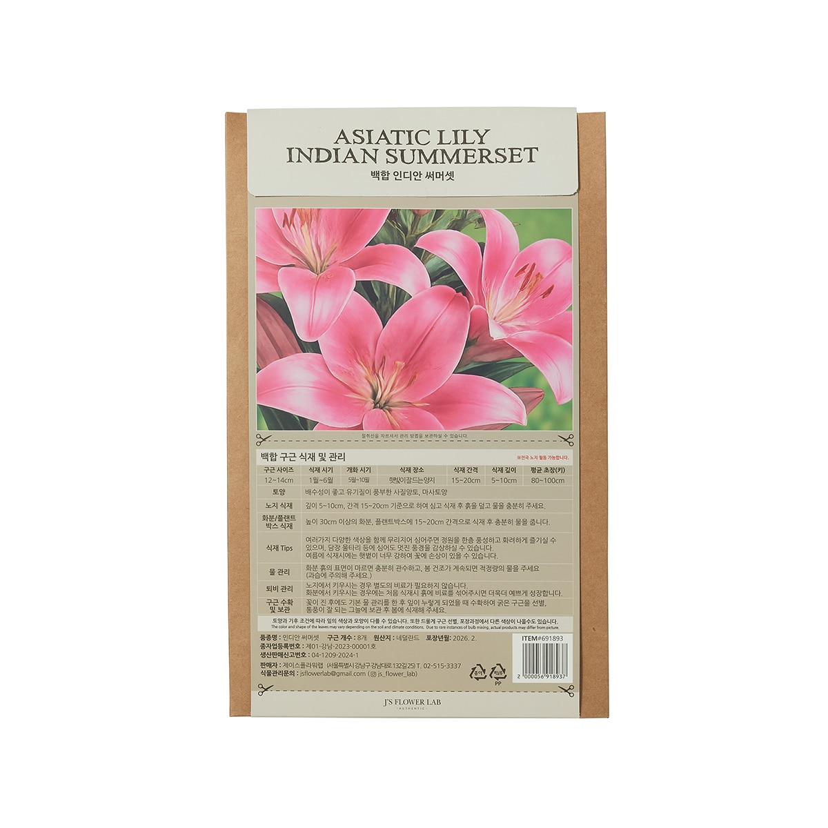 릴리 아시아틱 구근 / 최소구매 2 - 인디안써머셋 릴리 아시아틱 구근 / 최소구매 2 - 인디안써머셋