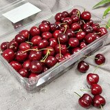미국 레드체리 1.5kg