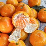 귤림원 감귤세트 5kg