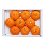 제주 레드향 선물세트 3kg 6~9입