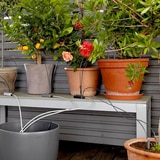 가데나 홀리데이 워터링 세트