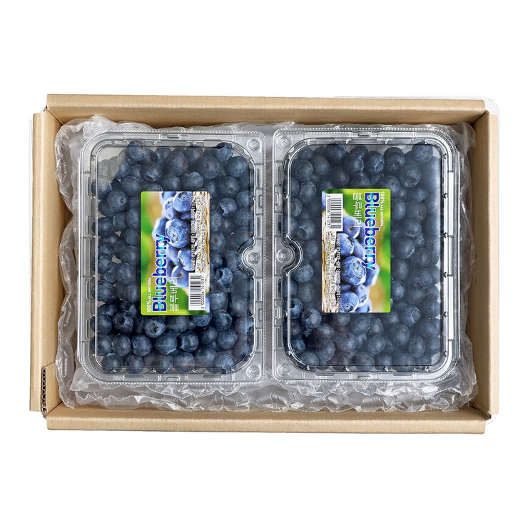 국내산블루베리 500g x 2팩