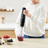 테팔 마스터 핸드 블렌더
