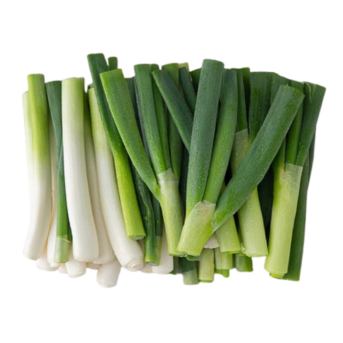 친환경깐대파 1kg