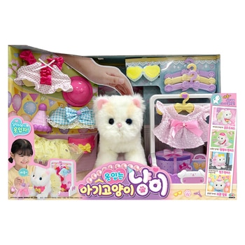 옷입는 아기고양이 냥이