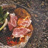 파이어폭스 BBQ 석쇠 5개입 / 최소구매 2