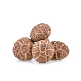 유기농 생 표고버섯(흑화고) 선물세트 600g