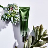 김정문알로에 시그니처 3X 크림 50ml X 2입
