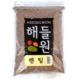 해들원 렌틸콩 4kg x 3