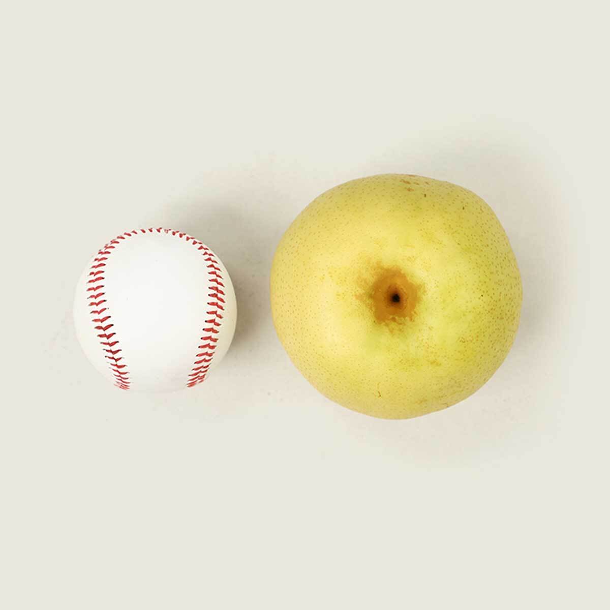 황금배 7.5kg 선물세트 황금배 7.5kg 선물세트