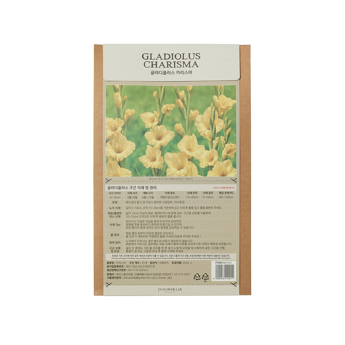 글라디올러스 구근 / 최소구매 2 - 카리스마