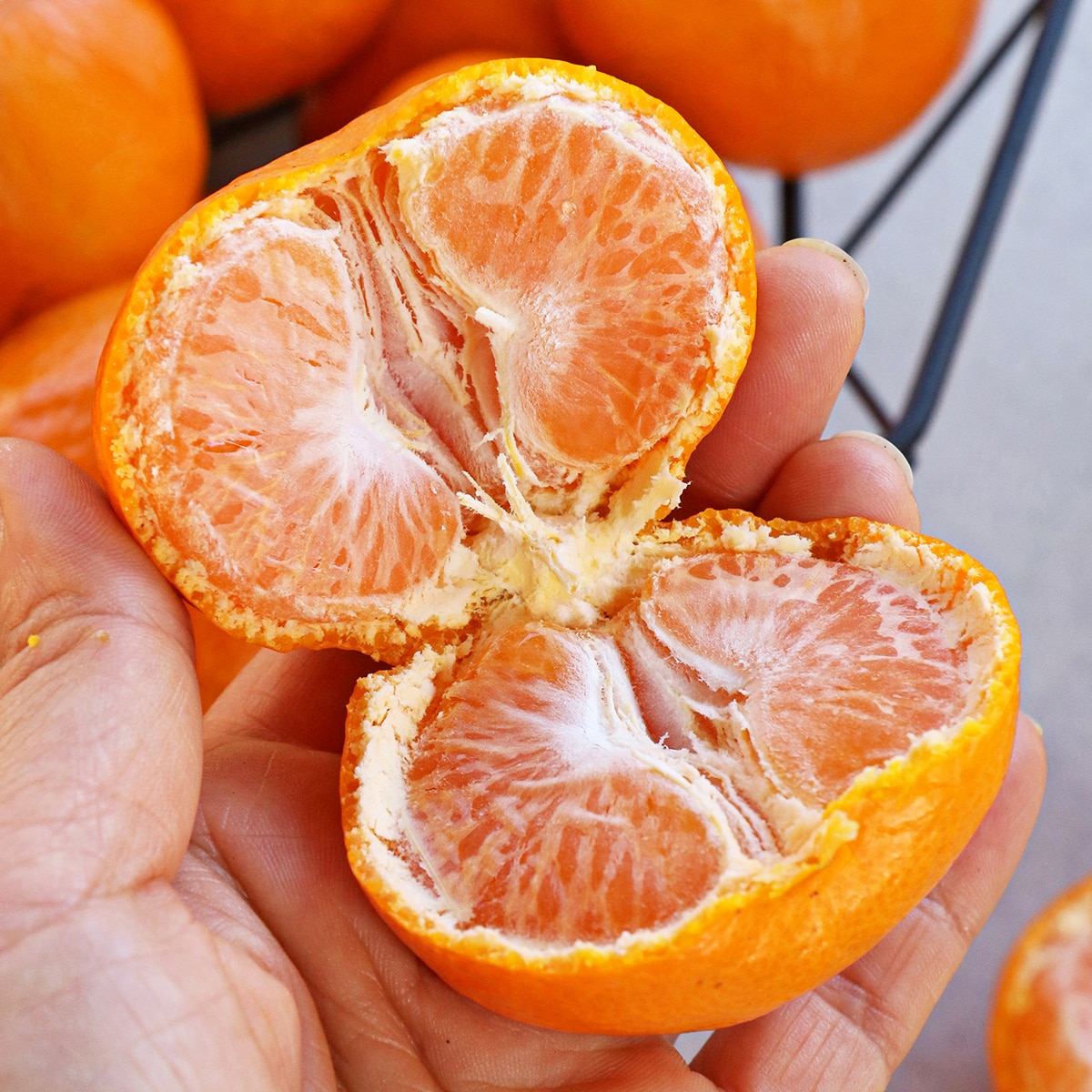 귤림원 감귤세트 5kg