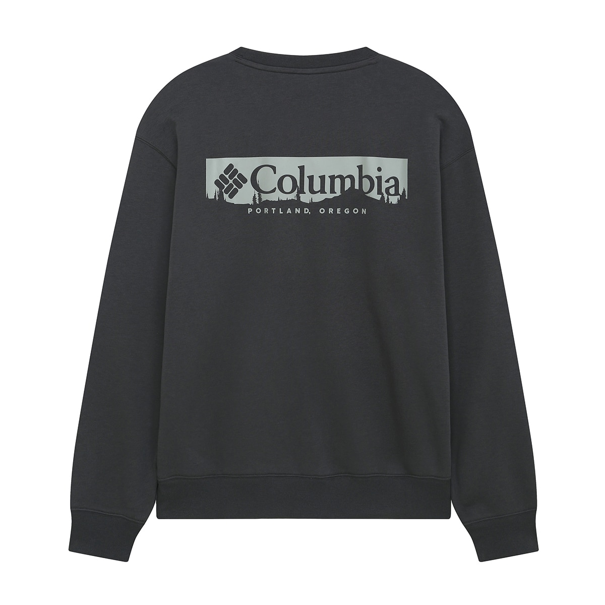 컬럼비아 남성 긴소매 플리스 크루티 - 차콜, M 컬럼비아 남성 긴소매 플리스 크루티 - 차콜, M