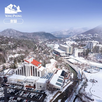 용평 리조트 1일 숙박권 (디럭스 / 일-금)