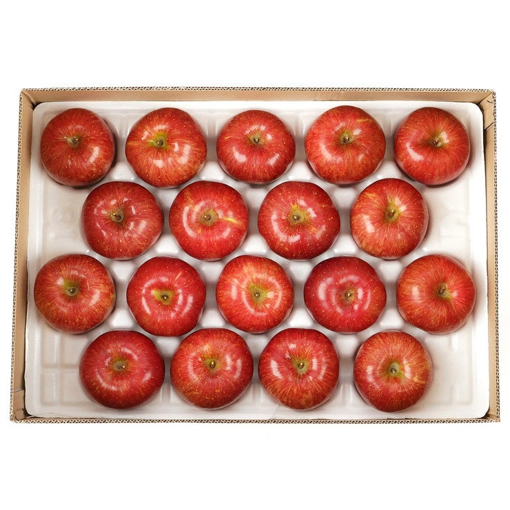 청송사과 5kg 청송사과 5kg