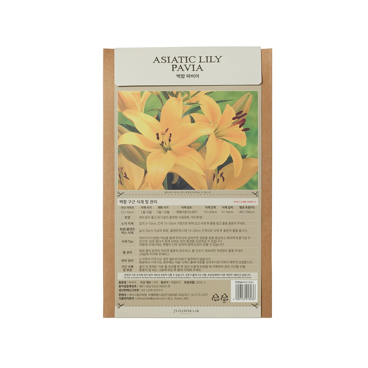 릴리 아시아틱 구근 / 최소구매 2 - 파비아