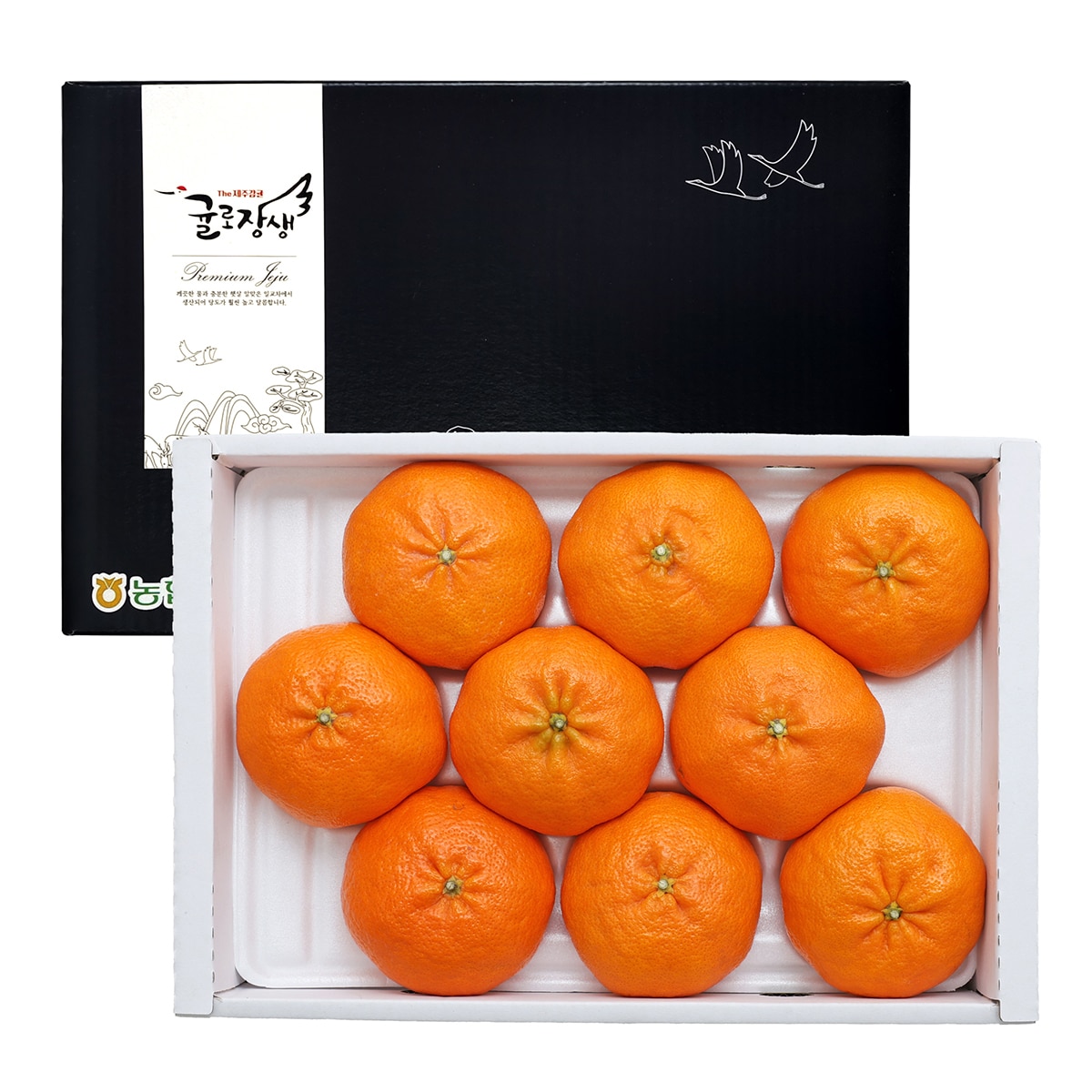 제주 레드향 선물세트 3kg 6~9입