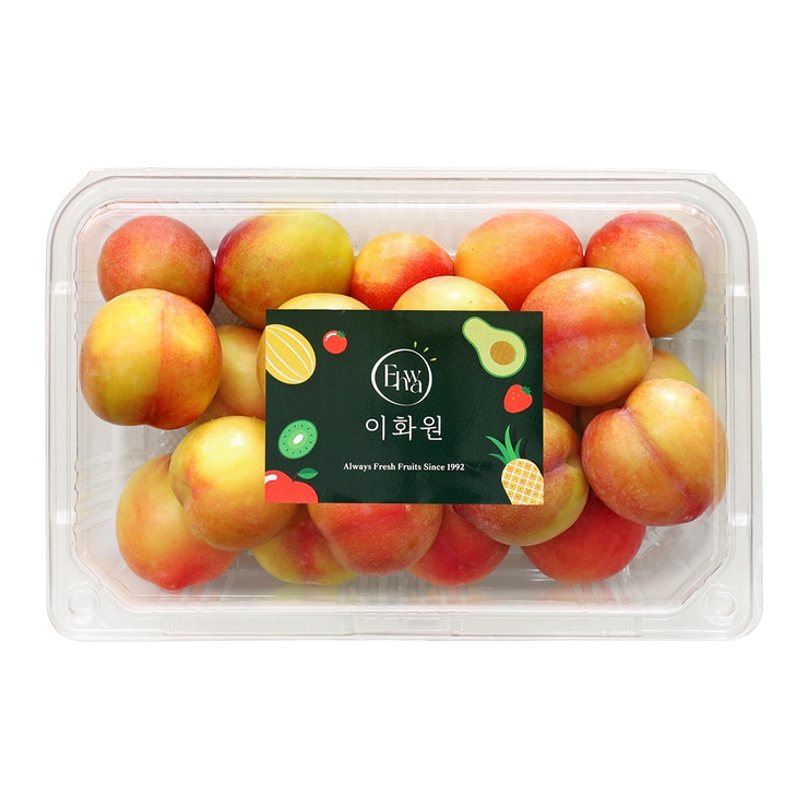 하우스 자두 1kg 하우스 자두 1kg