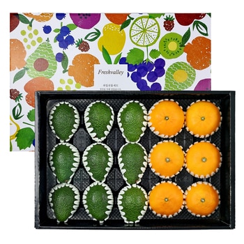 아보카도&천혜향세트4.5kg