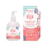 소프리스 핸드 스크럽 워시 280ml X 2