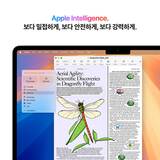 Apple 맥북 에어 13 M4 256GB 스타라이트