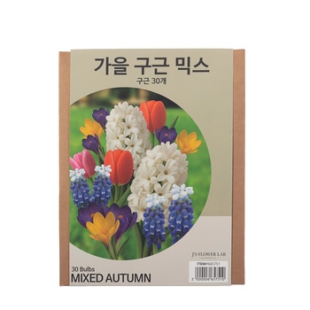 가을 믹스 구근 / 최소구매 2