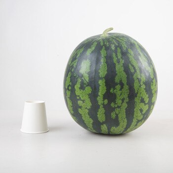 수박7kg 미만