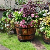 우드 배럴 플랜터, 브라운 우드 배럴 플랜터, 브라운