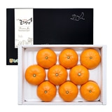 제주 천혜향 선물세트 3kg 9~12입