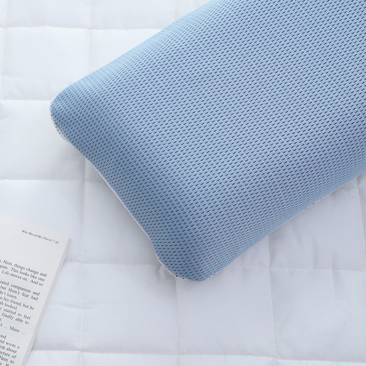 에이프릴앳홈 냉감 메쉬 메모리폼 베개 - 블루 에이프릴앳홈 냉감 메쉬 메모리폼 베개 - 블루