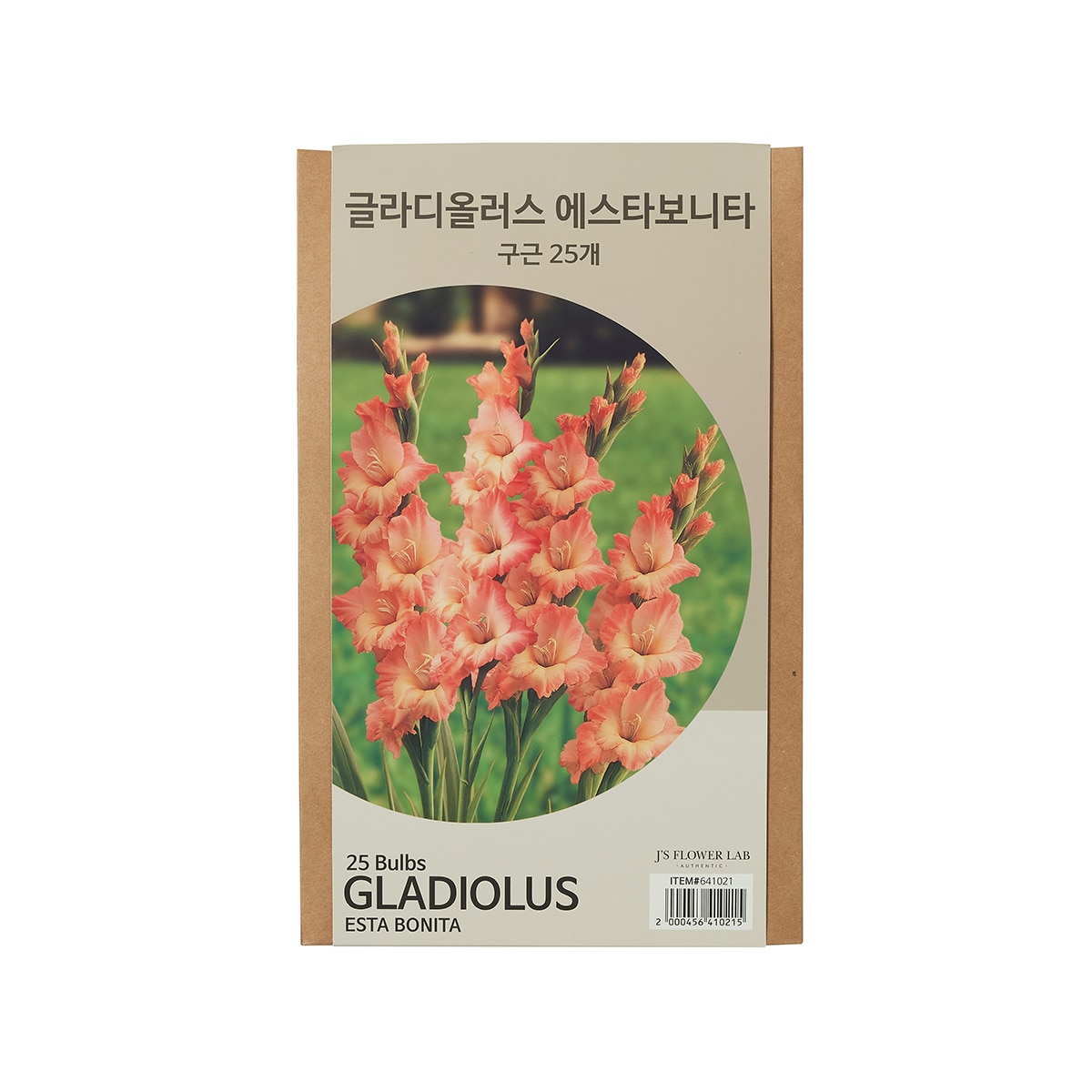 글라디올러스 구근 / 최소구매 2 - 에스타보니타