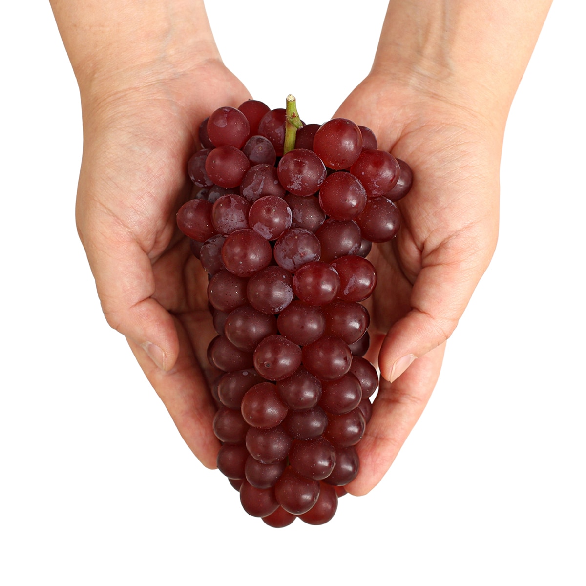 델라웨어 포도 1kg 델라웨어 포도 1kg