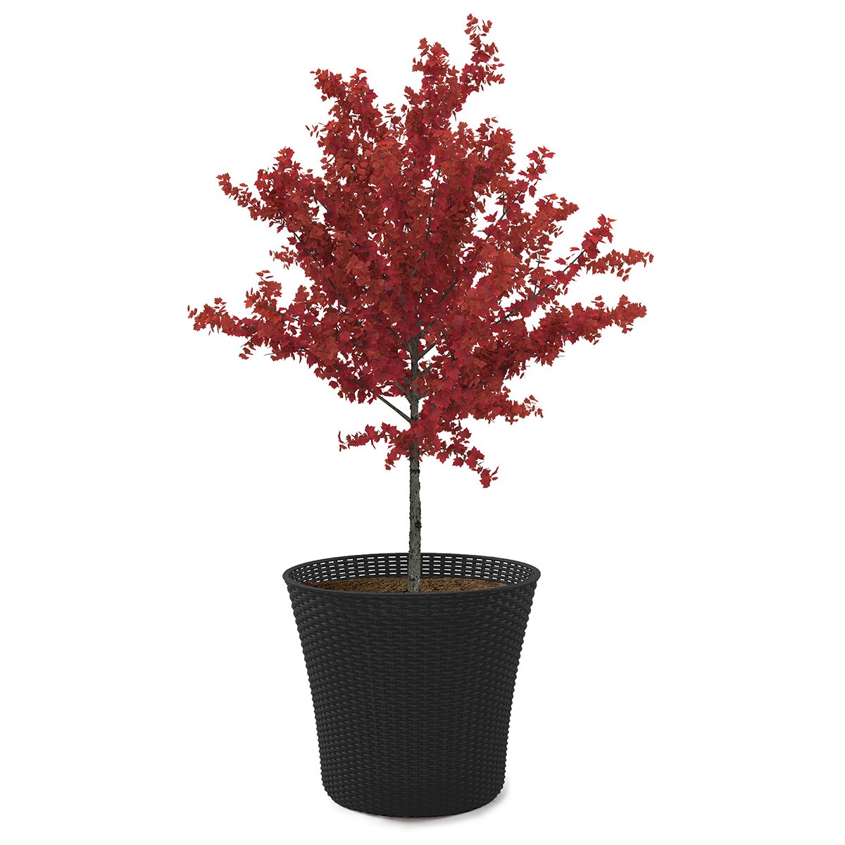 케터 코닉 화분 54cm