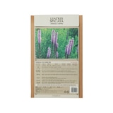 리아트리스 구근 / 최소구매 2 리아트리스 구근 / 최소구매 2