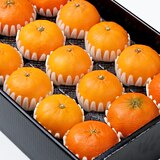 천혜향 & 레드향세트5kg