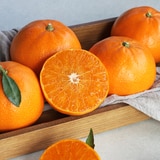 아보카도&천혜향세트4.5kg