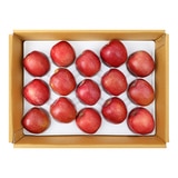 감홍사과 5kg 감홍사과 5kg