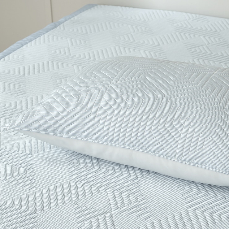 알러텍트 아이스 베개 커버 2P - 블루